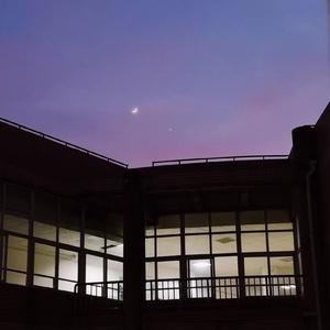 香香公主被爱犬拔河是哪一期
